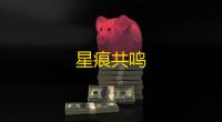 星痕共鸣